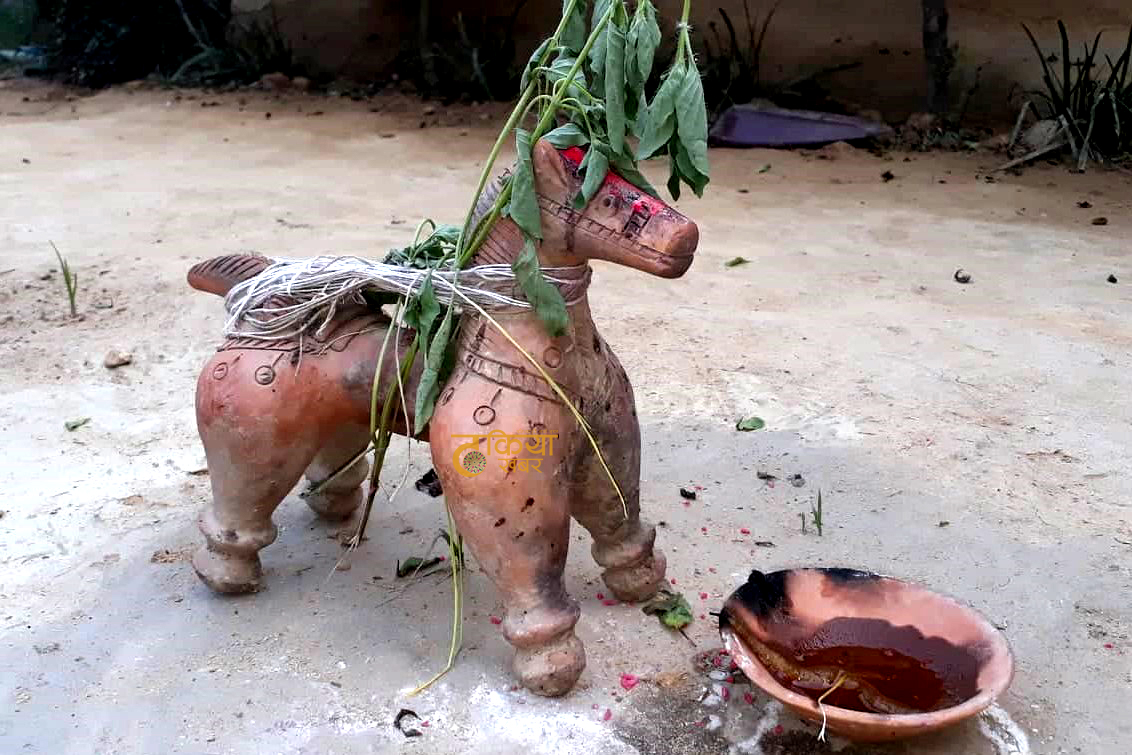 दसैंमा मात्रै थारू जातिको के हो घोर्वा फेर्ने प्रचलन ?