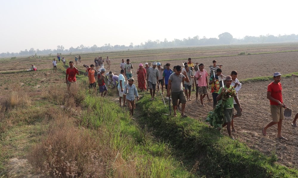 थारू बस्तीमा कुलाही