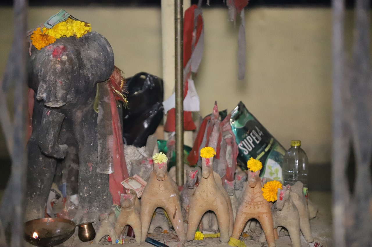 बर्दियामे फेनापति कैसिक स्थापना हुइल ?