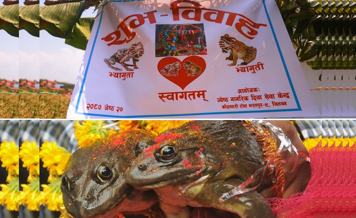 भ्यागुताको बिहे 