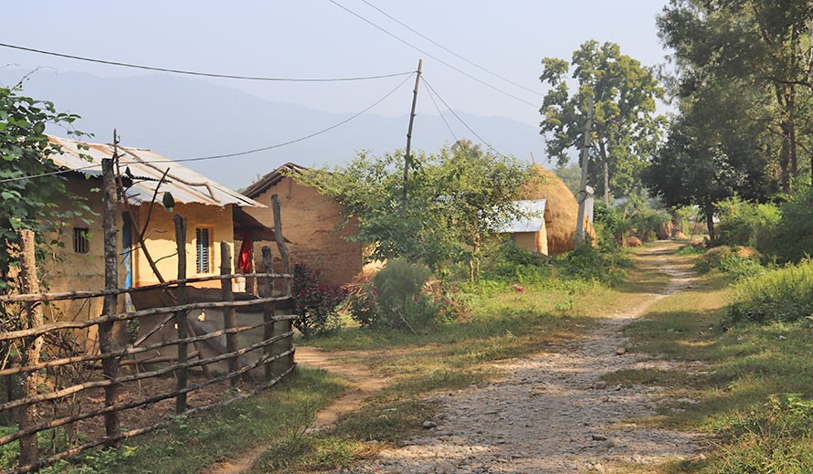 कमैया